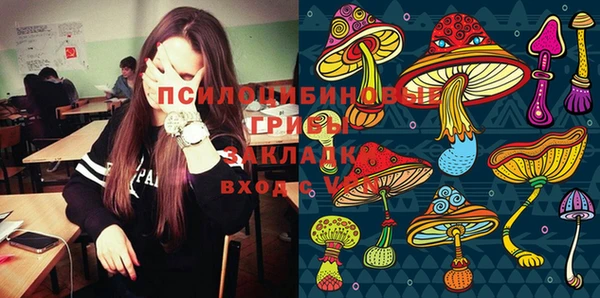 молекула духа Инта