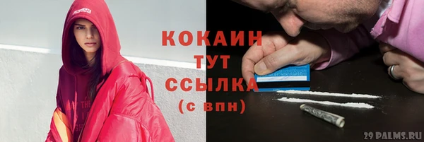 ешки Инсар
