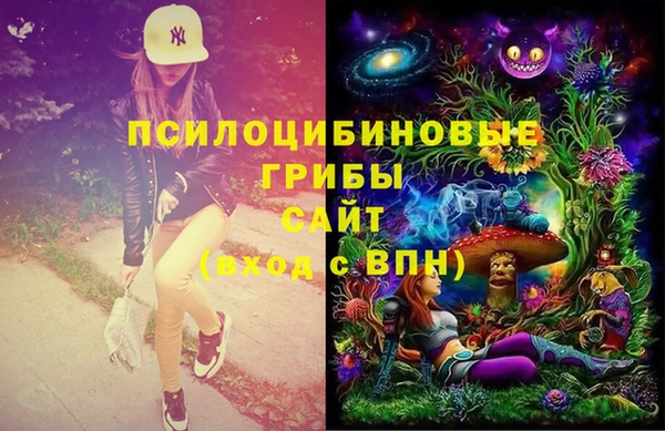 ешки Инсар